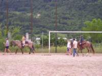 p1010016_small.jpg