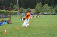 immagine592_small.jpg