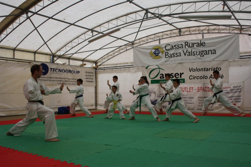immagine451.jpg
