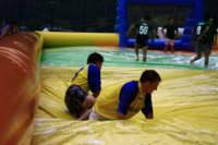 photo114_small.jpg