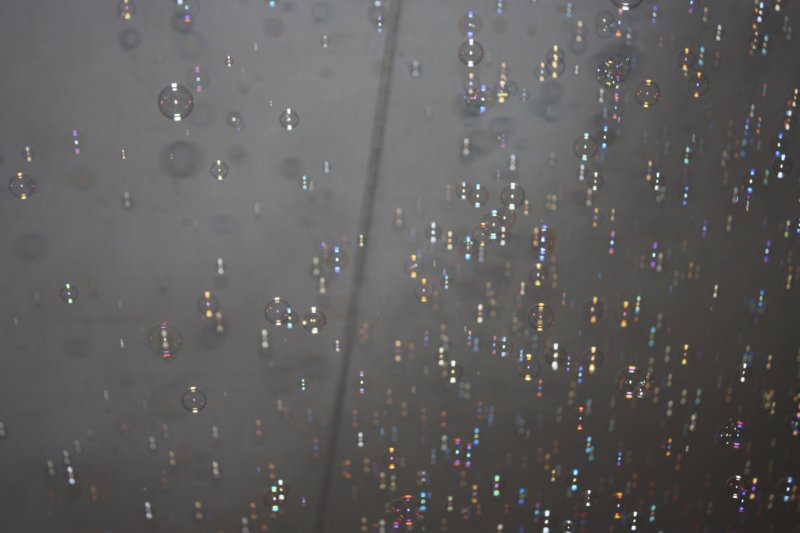 photo246.jpg