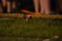 dsc_2962_small.jpg