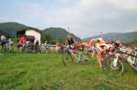 dsc_5517_small.jpg