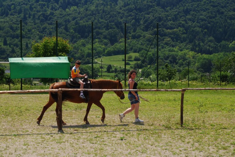 dsc_3667.jpg