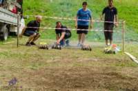 dsc_0054_small.jpg