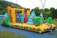summerfest2017venerd16030_small.jpg