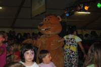 photo221_small.jpg