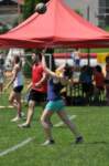 dsc_3456_small.jpg