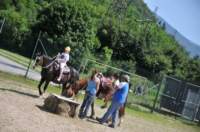 dsc_3528_small.jpg