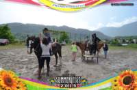 sabatodiego_0014_small.jpg