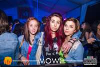 img_4587_small.jpg